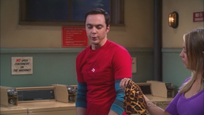 Charmed-Online_dot_net-TBBT2x21TheHawkingExcitation0017.jpg