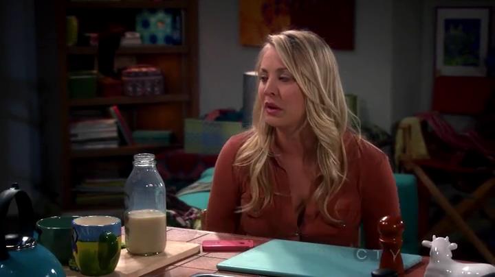 Charmed-Online-dot-net_TheBigBangTheory6x08-0107.jpg