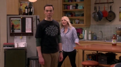 Chamed-Online-dot-nl_TheBigBangTheory12x20-0570.jpg