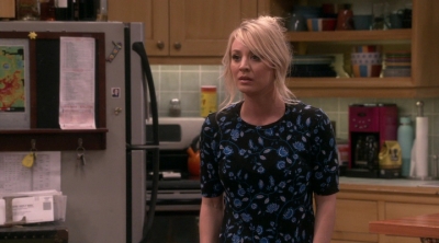 Chamed-Online-dot-nl_TheBigBangTheory12x20-0658.jpg