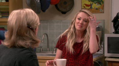 Chamed-Online-dot-nl_TheBigBangTheory12x22-0525.jpg