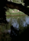 Charmed-Online-dot_nl-LittleHouseonthePrairie9x02-0451.jpg