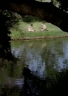 Charmed-Online-dot_nl-LittleHouseonthePrairie9x02-0453.jpg