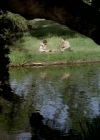 Charmed-Online-dot_nl-LittleHouseonthePrairie9x02-0455.jpg