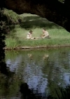 Charmed-Online-dot_nl-LittleHouseonthePrairie9x02-0456.jpg