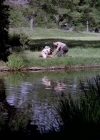 Charmed-Online-dot_nl-LittleHouseonthePrairie9x02-0515.jpg