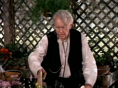 Charmed-Online-dot-NLCharmed-Online-dot-NL-LittleHouseonthePrairie9x12-1659.jpg