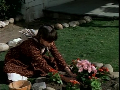 Charmed-Online-dot-NLCharmed-Online-dot-NL-LittleHouseonthePrairie9x12-2866.jpg