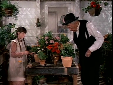 Charmed-Online-dot-NLCharmed-Online-dot-NL-LittleHouseonthePrairie9x12-2949.jpg