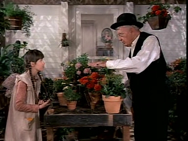 Charmed-Online-dot-NLCharmed-Online-dot-NL-LittleHouseonthePrairie9x12-2971.jpg