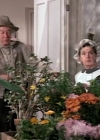 Charmed-Online-dot-NLCharmed-Online-dot-NL-LittleHouseonthePrairie9x12-1653.jpg