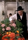 Charmed-Online-dot-NLCharmed-Online-dot-NL-LittleHouseonthePrairie9x12-2908.jpg