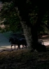 Charmed-Online-dot-NLCharmed-Online-dot-NL-LittleHouseonthePrairie9x12-3623.jpg