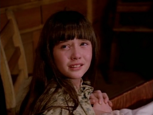 Charmed-Online-dot-NL-LittleHouseonthePrairie9x18-2050.jpg