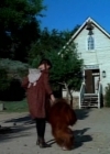 Charmed-Online-dot-NL-LittleHouseonthePrairie9x20-1336.jpg