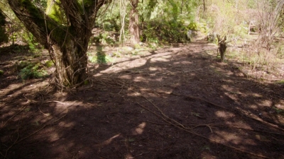 Charmed-Online-dot-nl_Charmed-1x21RedRain02122.jpg