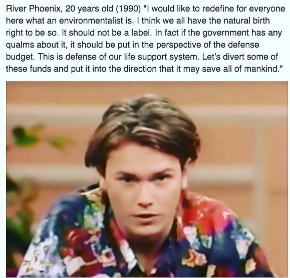 291.jpg