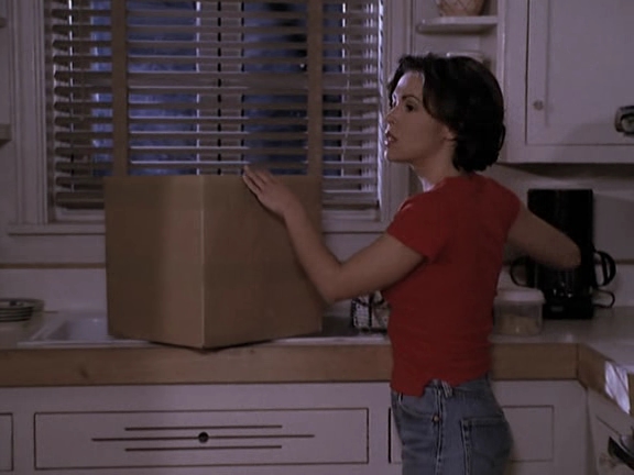Charmed-Online-dot-net_MelrosePlace7x07-1223.jpg