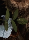 Charmed-Online_dot_nl-Sleepwalkers1743.jpg