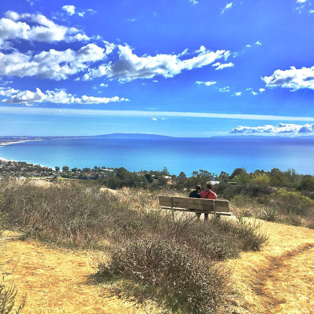 2019-002.jpg 2019-002.jpg