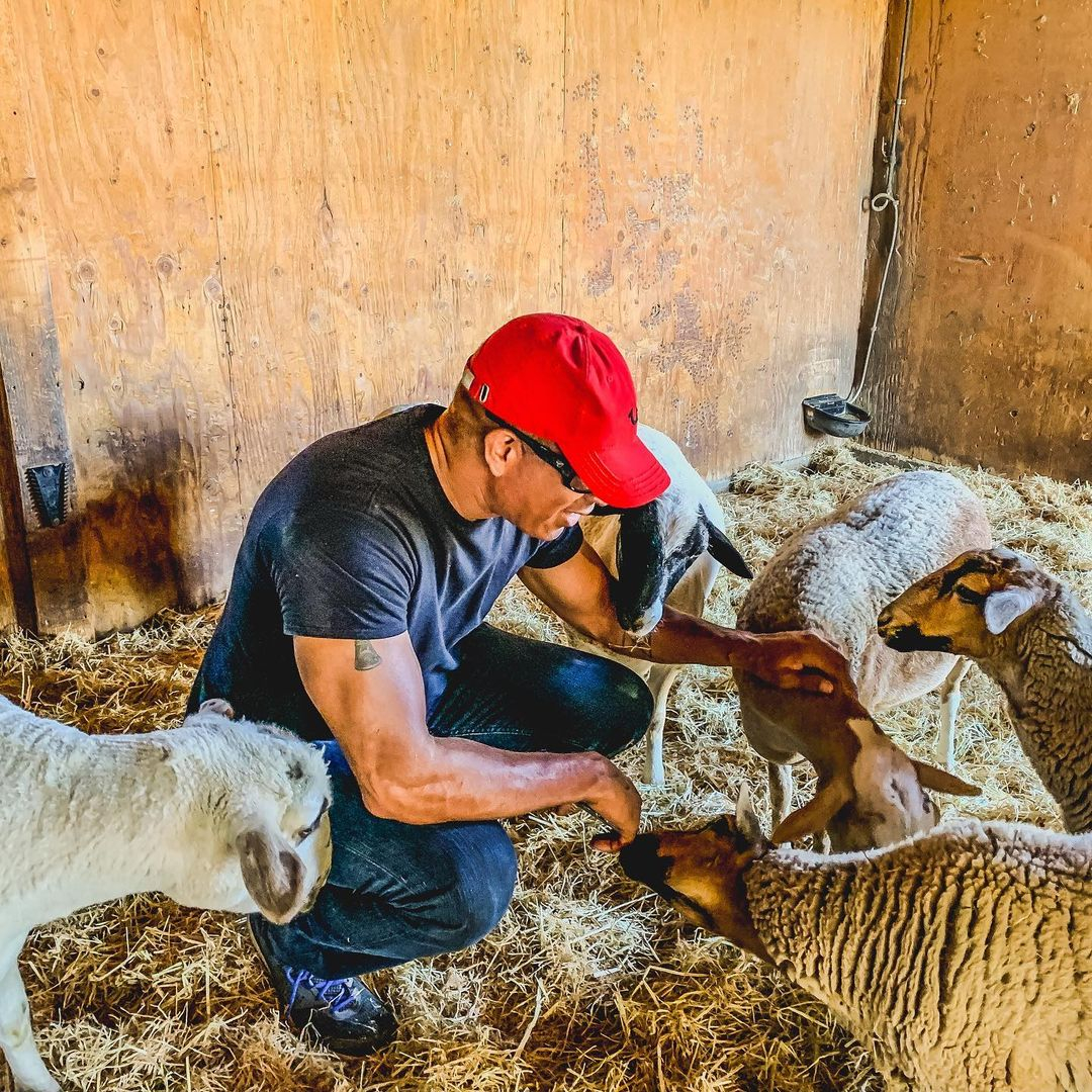 2019-039.jpg 2019-039.jpg