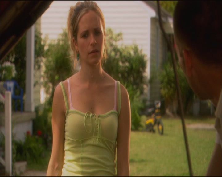 Charmed-Online_dot_net-ArmyWives1x01-1x04-5144.jpg