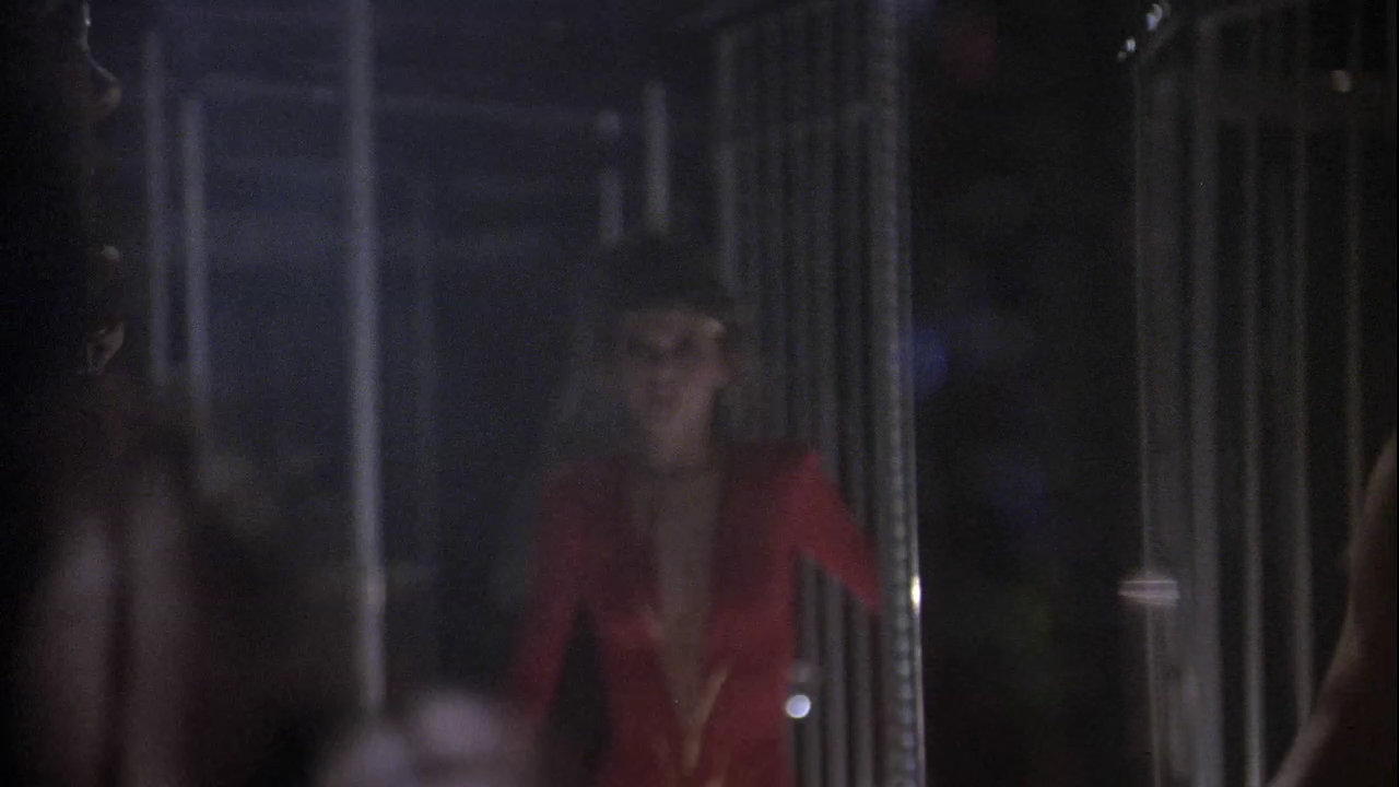 Charmed-Online_dot_nl-StayingAlive4690.jpg