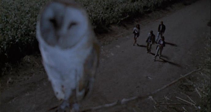 Charmed-Online-dot-net_ChildrenOfTheCornV-1155.jpg
