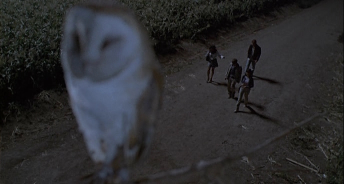 Charmed-Online-dot-net_ChildrenOfTheCornV-1156.jpg