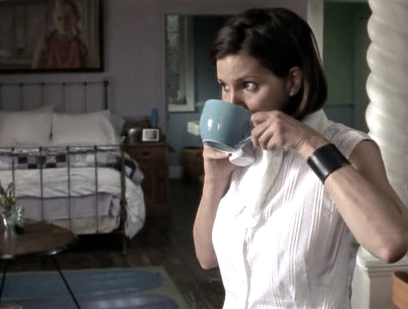 Charmed-Online_dot_nl-SeeJaneDate2386.jpg