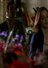 Charmed-Online_dot_net-NipTuck1x07_1x08_1x09-4454.jpg