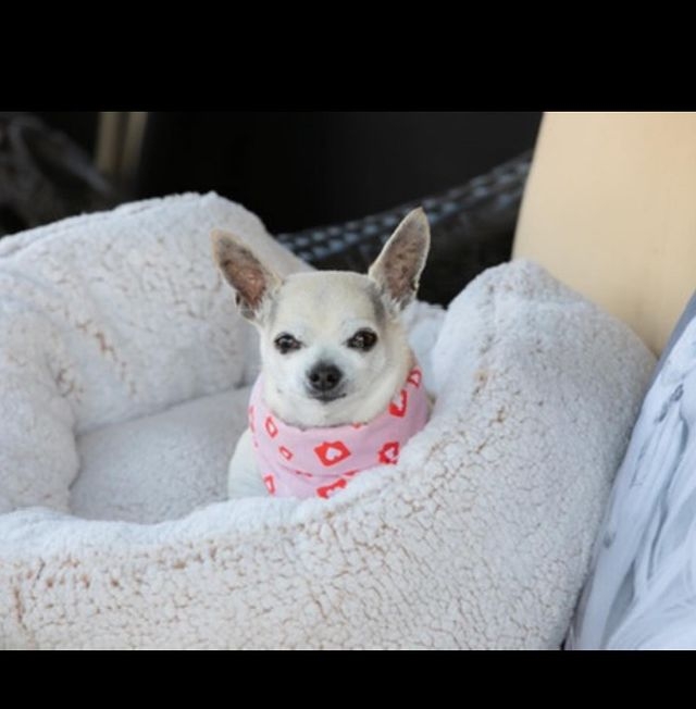 021-10.jpg 021-10.jpg