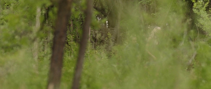 Charmed-Online-dot-NL-BurningBodhi4551.jpg Charmed-Online-dot-NL-BurningBodhi4551.jpg