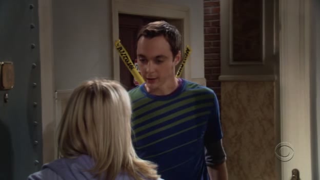 Charmed-online-dot-net_TheBigBangTheory1x02-0789.jpg