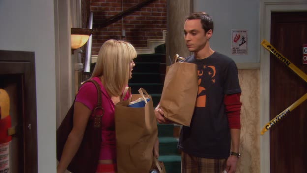 Charmed-online-dot-net_TheBigBangTheory1x04-0227.jpg