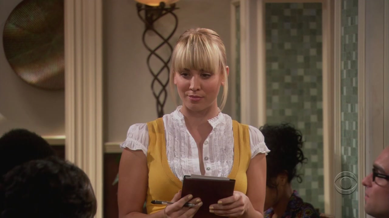 Charmed-online-dot-net_TheBigBangTheory1x05-0011.jpg