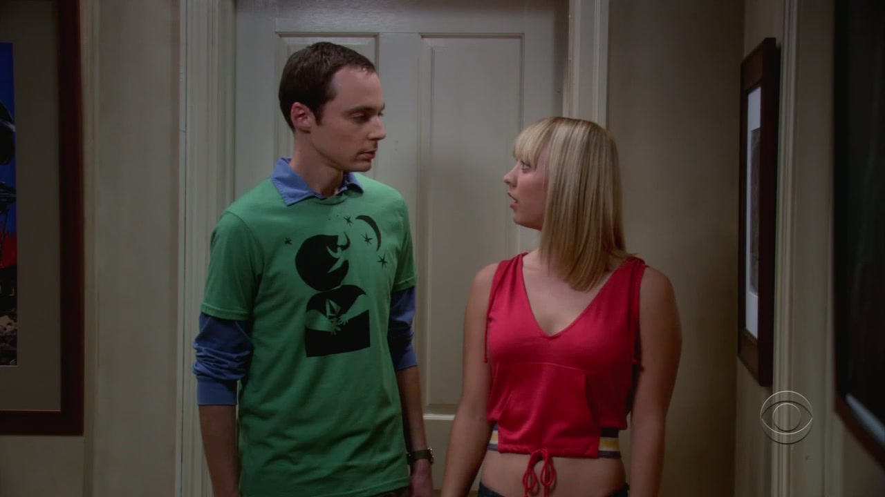 Charmed-online-dot-net_TheBigBangTheory1x05-0465.jpg