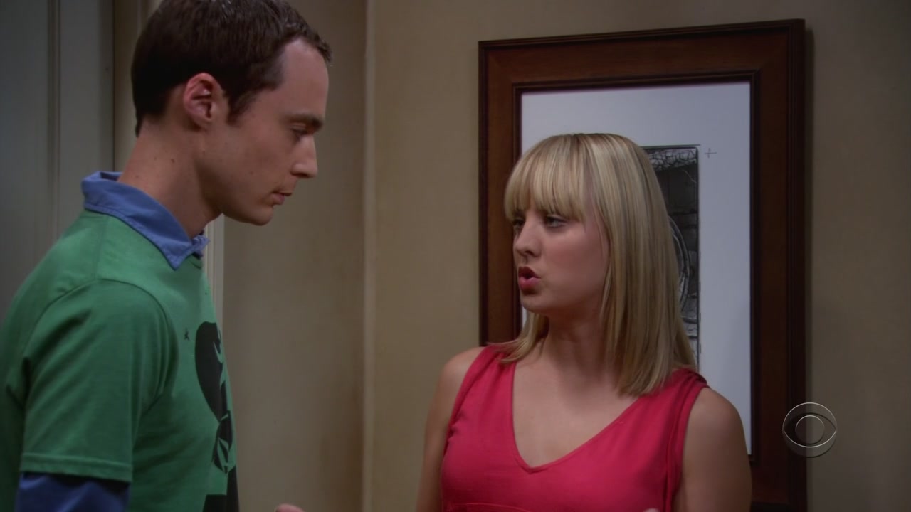 Charmed-online-dot-net_TheBigBangTheory1x05-0473.jpg