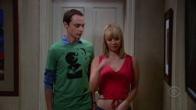 Charmed-online-dot-net_TheBigBangTheory1x05-0460.jpg