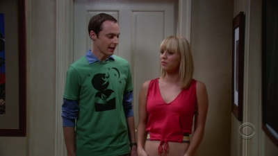 Charmed-online-dot-net_TheBigBangTheory1x05-0468.jpg