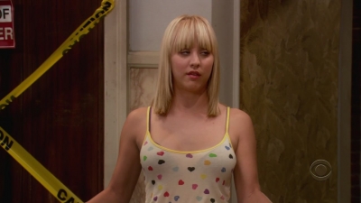 Charmed-online-dot-net_TheBigBangTheory1x05-0777.jpg