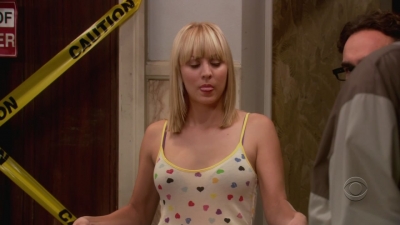 Charmed-online-dot-net_TheBigBangTheory1x05-0811.jpg