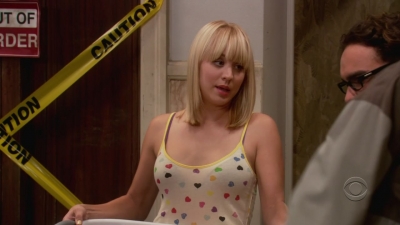 Charmed-online-dot-net_TheBigBangTheory1x05-0813.jpg