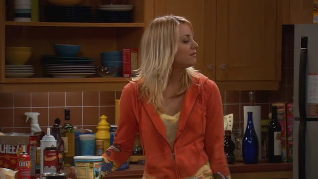 Charmed-Online-dot-net_TBBT-1x17-0100.jpg