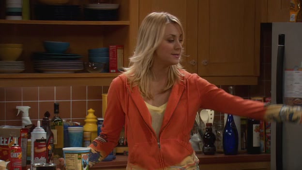 Charmed-Online-dot-net_TBBT-1x17-0101.jpg