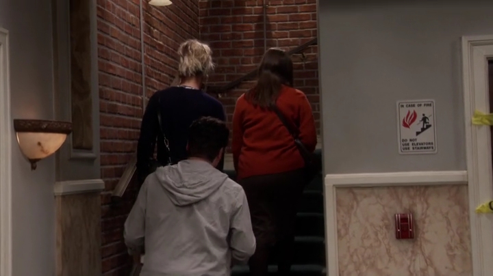 Charmed-Online-dot-nl_TheBigBangTheory10x08-0775.jpg