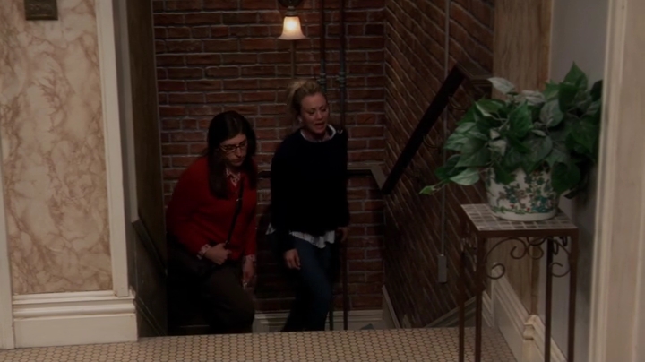 Charmed-Online-dot-nl_TheBigBangTheory10x08-0782.jpg