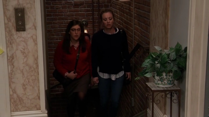 Charmed-Online-dot-nl_TheBigBangTheory10x08-0785.jpg