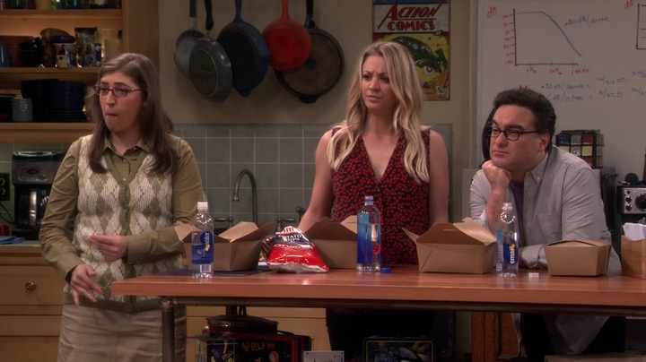 Charmed-Online-dot-nl_TheBigBangTheory10x09-0265.jpg