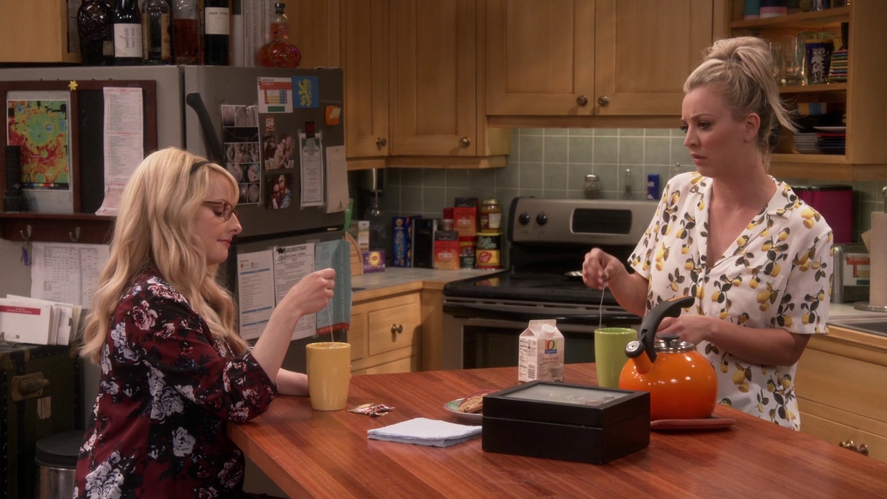 Charmed-Online-dot-nl_TheBigBangTheory11x01-0232.jpg